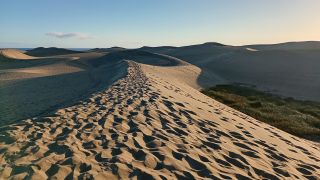 GC-Dunas de Maspalomas sunset 2026-080.jpg